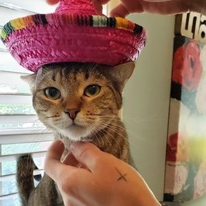 Meet your Posher, Ethan